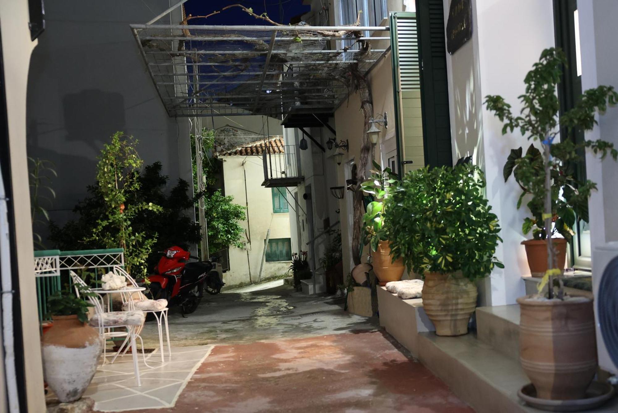 פלומרי Cane'S Family Guest House מראה חיצוני תמונה